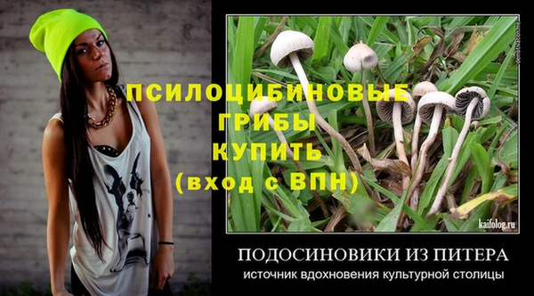 ECSTASY Бугульма