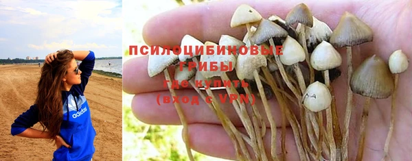 Альфа ПВП Снежинск