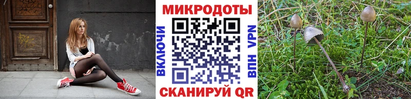 Псилоцибиновые грибы ЛСД  дарнет шоп  Котельнич 